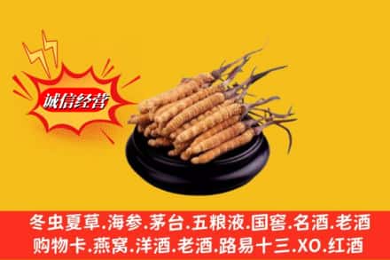 平顶山市宝丰求购回收虫草多少钱每克